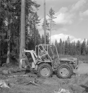 Bosbewerking, machines, werktuigen, arbeiders, takels, Bestanddeelnr 253-5372