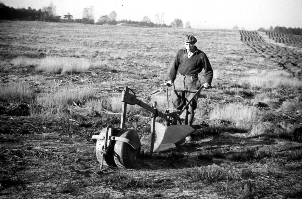 Bosbouw, heide ontginning, grondbewerking, ontwatering, bosploeg, Bestanddeelnr 195-0020