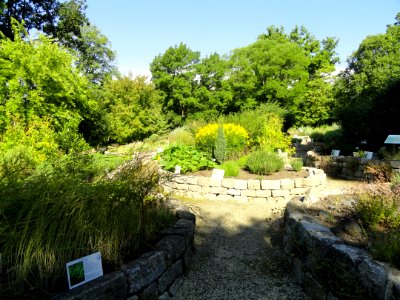 Botanischer Garten, Frankfurt am Main - DSC02515