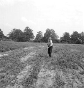 Bosbouw, landerijen, arbeiders, werkzaamheden, Bestanddeelnr 253-4568