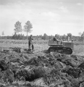 Bosbouw, ploegen, Bestanddeelnr 169-0385