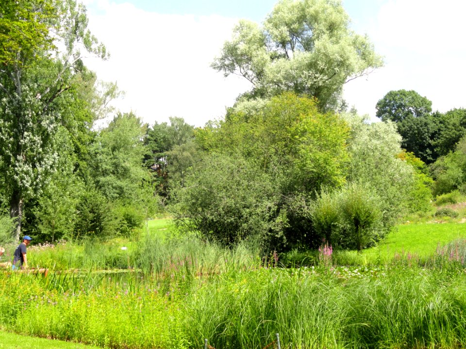 Botanischer Garten, Frankfurt am Main - DSC02743