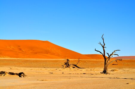 Nature namibia blue desert photo