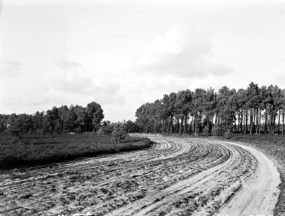 Boswegen, bossen, grens, belgische, landgoederen, Bestanddeelnr 164-0842