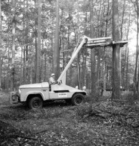 Bosbewerking, machines, werktuigen, arbeiders, werkzaamheden, Bestanddeelnr 253-5975