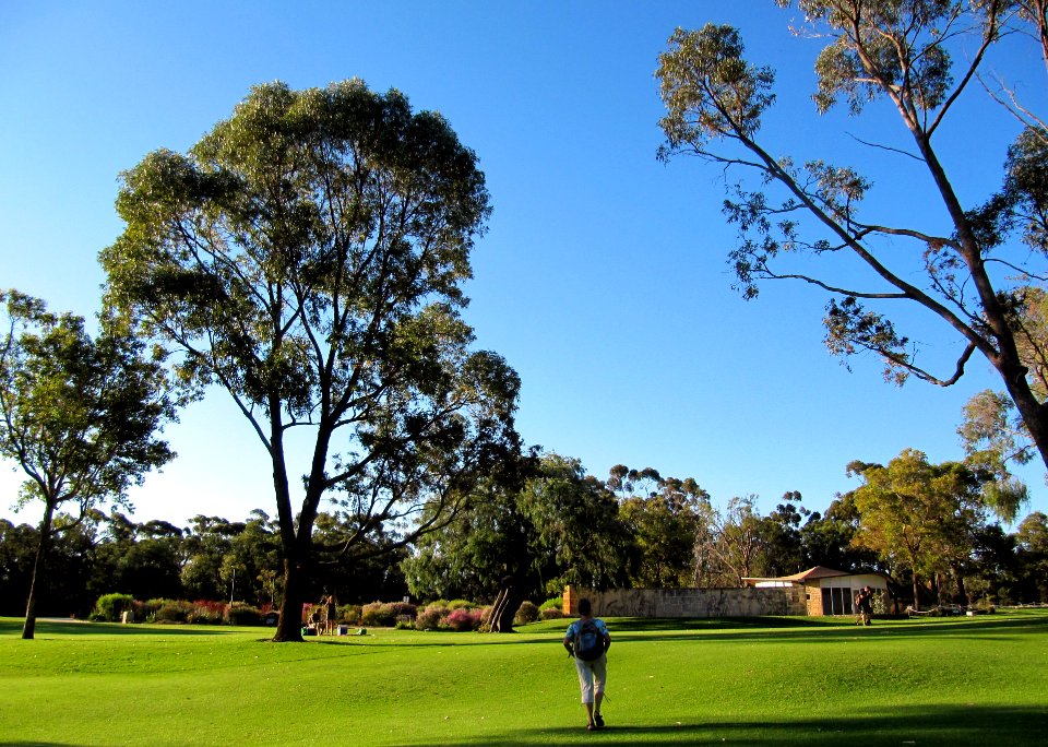 Botanic garden, Perth