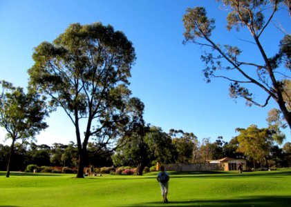 Botanic garden, Perth