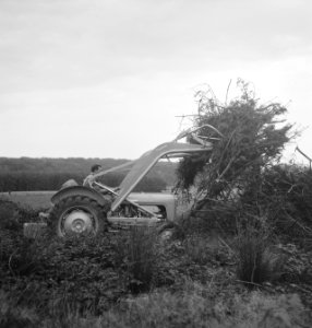 Bosbewerking, machines, werktuigen, arbeiders, struiken, Bestanddeelnr 251-8949