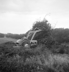Bosbewerking, machines, werktuigen, arbeiders, struiken, Bestanddeelnr 251-8950