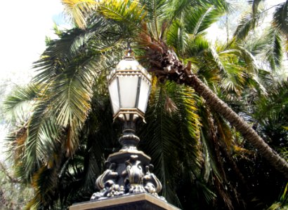 Botanic Garden Adelaide South Australia