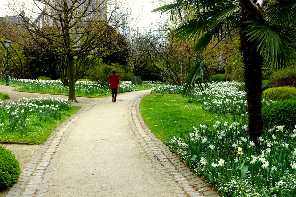 Botanical Garden of Brussels - Brussels, Belgium - DSC06818
