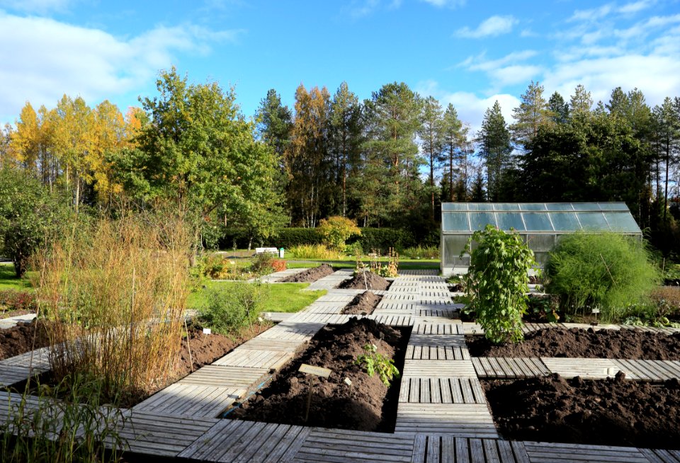 Botanical Gardens of Oulu University 20160917