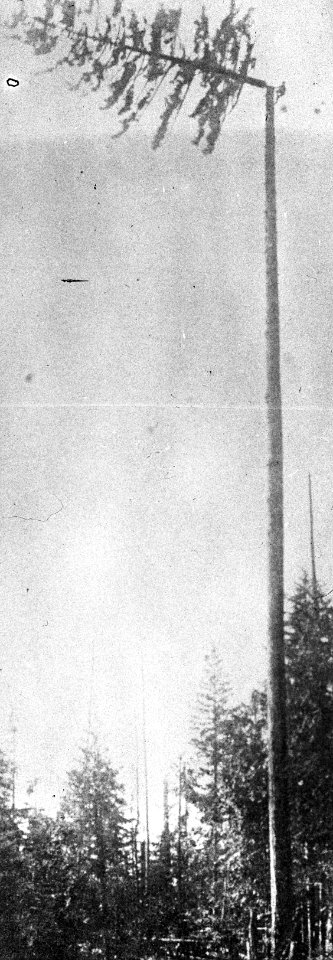 Bosbouw, houtkap en vervoer, Amerika, Bestanddeelnr 193-0716