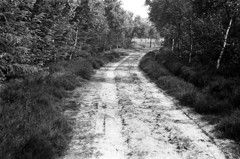 Boswegen, Bestanddeelnr 170-0076