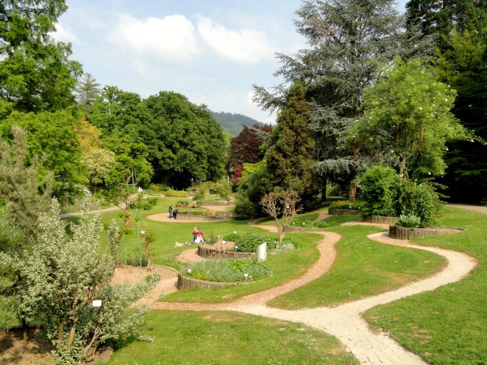 Botanischer Garten Freiburg - DSC06400