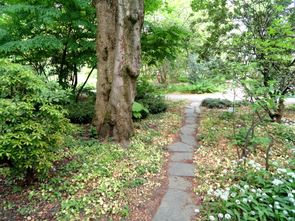 Botanischer Garten Freiburg - DSC06370