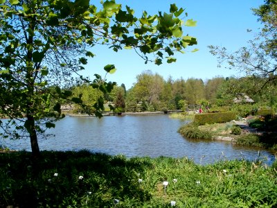 Botanischer Garten photo