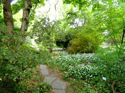 Botanischer Garten Freiburg - DSC06369