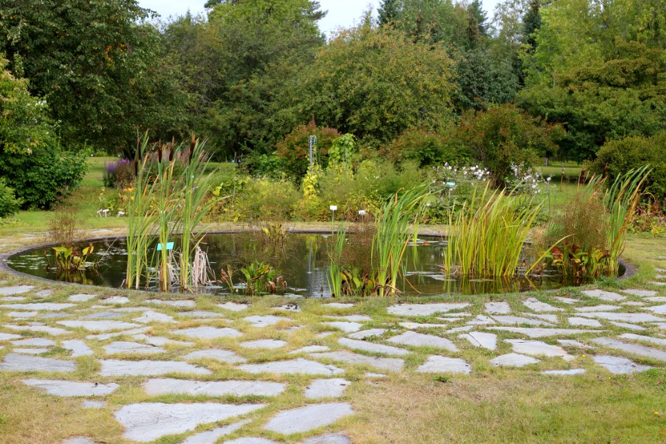 Botanical Gardens of Oulu University 20190818 04