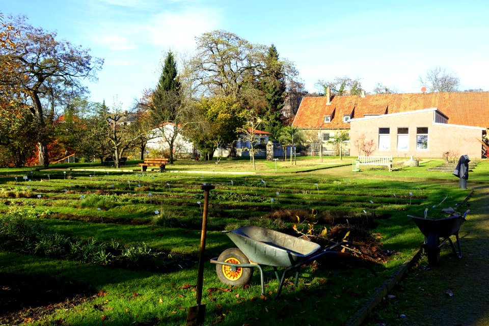 Botanischer Garten Braunschweig - Braunschweig, Germany - DSC04314