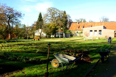 Botanischer Garten Braunschweig - Braunschweig, Germany - DSC04314
