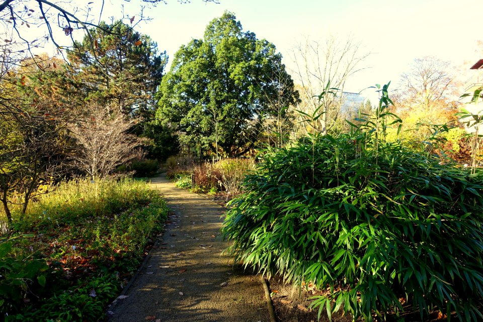 Botanischer Garten Braunschweig - Braunschweig, Germany - DSC04393