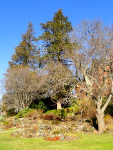 Botanic Garden of Smith College - DSC04437