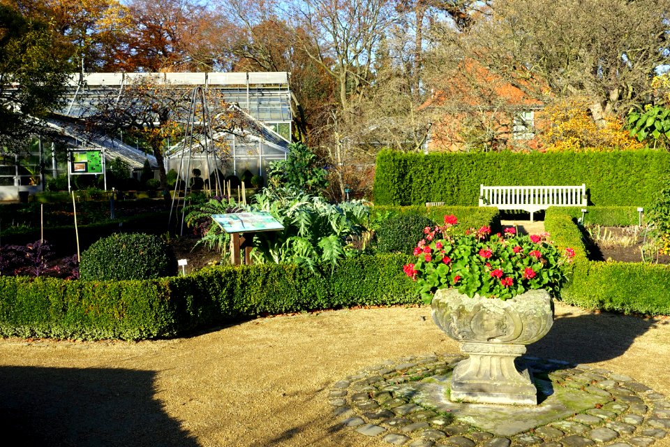 Botanischer Garten Braunschweig - Braunschweig, Germany - DSC04326