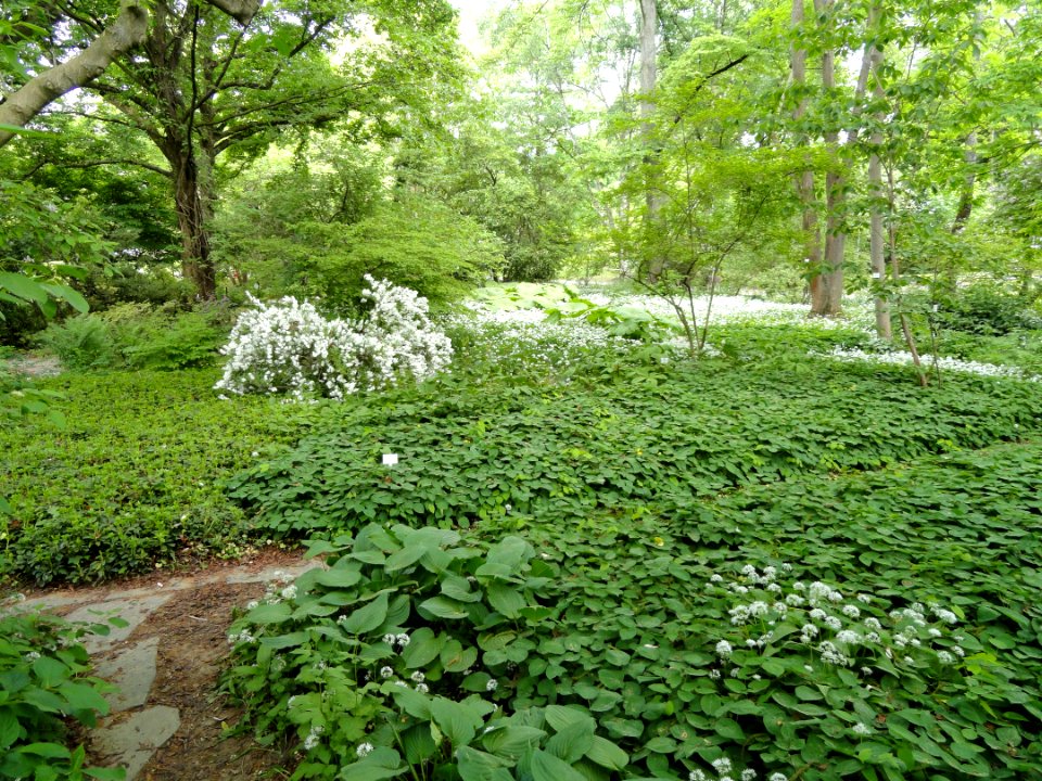 Botanischer Garten Freiburg - DSC06367