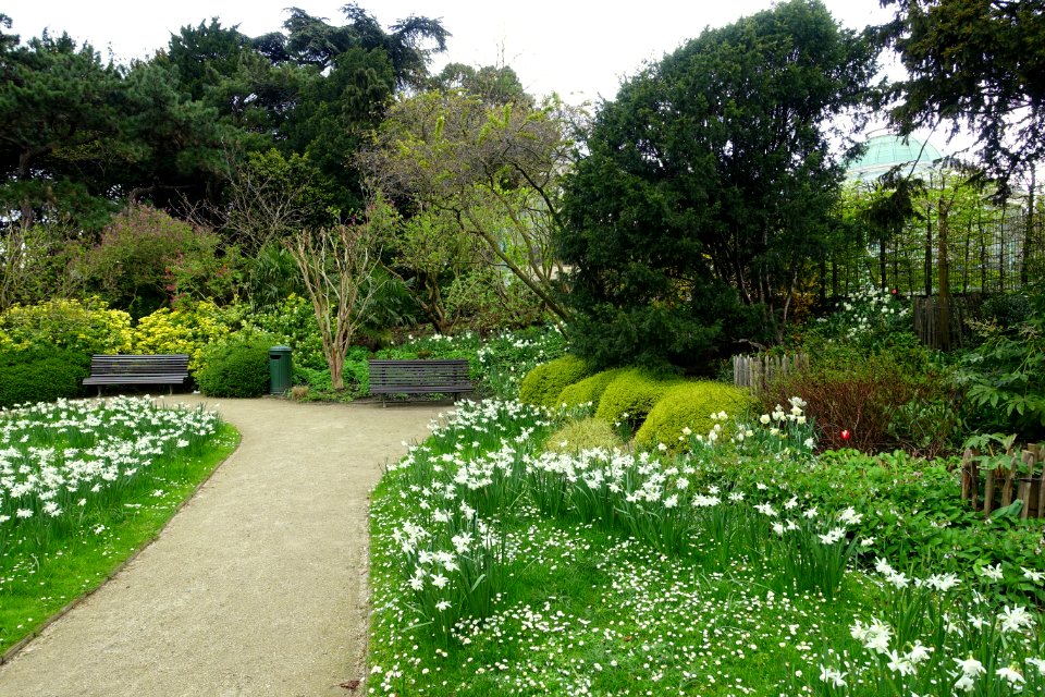 Botanical Garden of Brussels - Brussels, Belgium - DSC06835