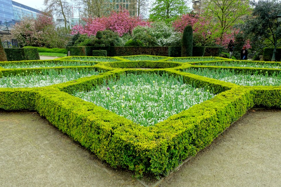 Botanical Garden of Brussels - Brussels, Belgium - DSC06866