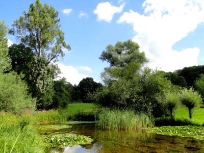 Botanischer Garten, Frankfurt am Main - DSC02587