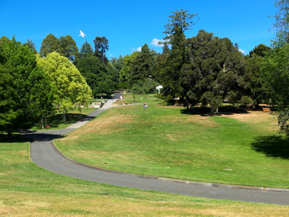 Botanical Gardens Hobart 20171119-014