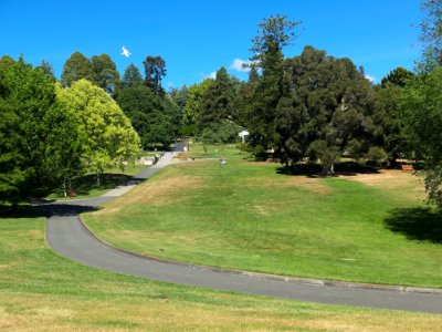 Botanical Gardens Hobart 20171119-014