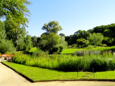 Botanischer Garten, Frankfurt am Main - DSC02434
