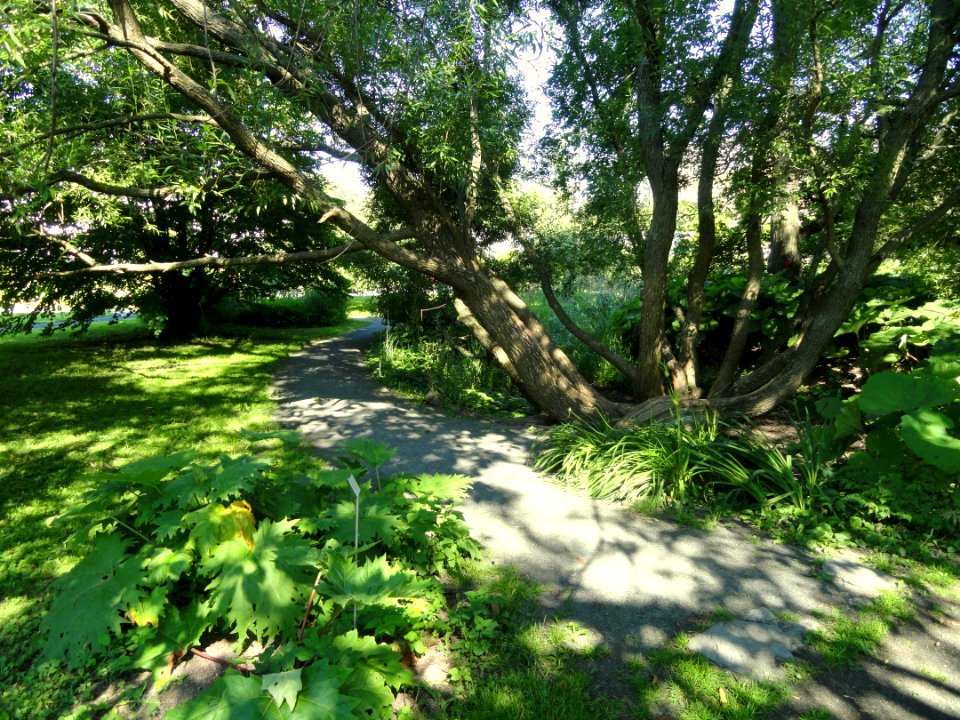 Botanical Garden in Kaisaniemi - DSC03572