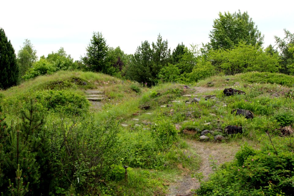 Botanical Gardens of Oulu University 20130623 06