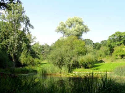 Botanischer Garten, Frankfurt am Main - DSC03184