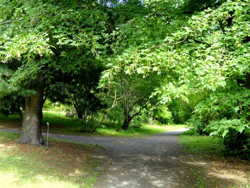 Botanical Garden in Kaisaniemi - DSC03755