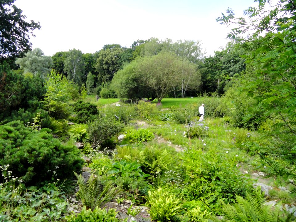 Botanischer Garten, Frankfurt am Main - DSC02659