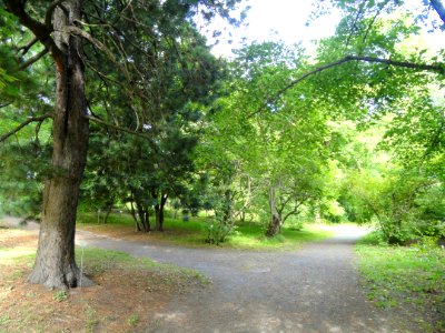 Botanical Garden in Kaisaniemi - DSC03756