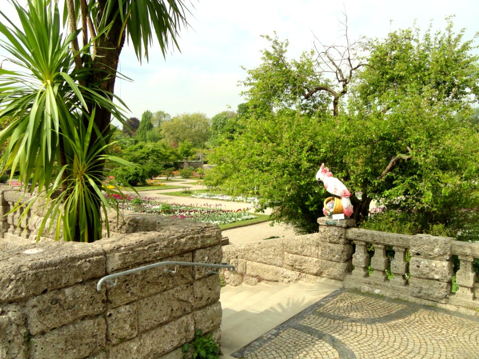 Botanischer Garten München-Nymphenburg - DSC07533