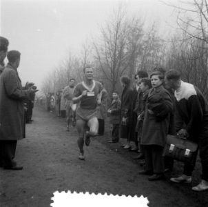 Bosloop Leiden. Lopers onderweg, Bestanddeelnr 908-2952