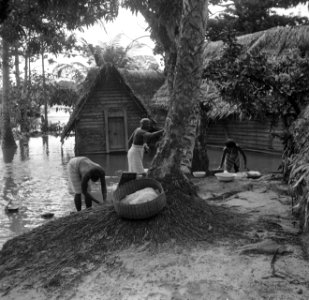 Boslandcreoolvrouwen aan de was bij de Surinamerivier, Bestanddeelnr 252-5899