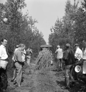 Bosbewerking, boomstammen, machines, werktuigen, Bestanddeelnr 253-6029