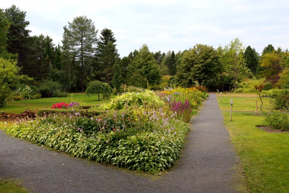 Botanical Gardens of Oulu University 20190818 02