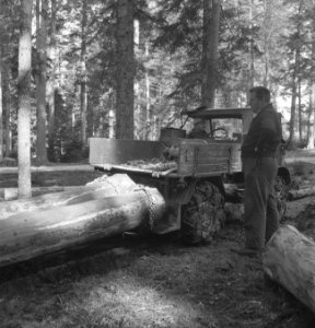 Bosbewerking, auto's, boomstammen, sleepwerkzaamheden, arbeiders, Tractors, Bestanddeelnr 253-5108