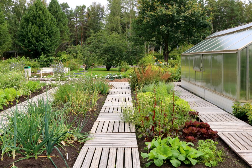 Botanical Gardens of Oulu University 20190818 05