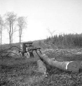 Bosbewerking, boomstammen, machines, werktuigen, duwen, Bestanddeelnr 251-9026