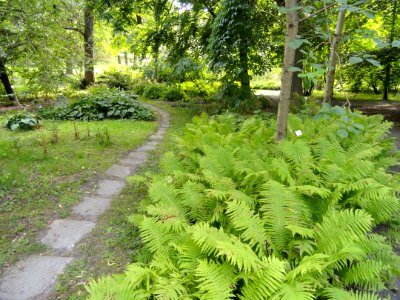 Botanical Garden in Kaisaniemi - DSC03767